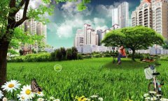  小區花園如何裝置雨水收集系統？